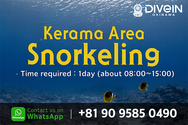 Kerama Area Snorkeling