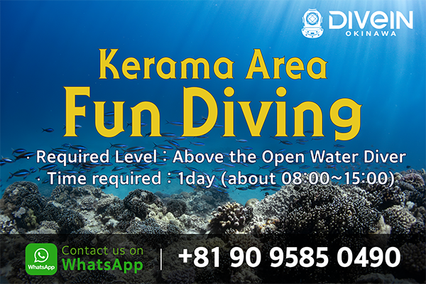 Kerama Area Fun Diving