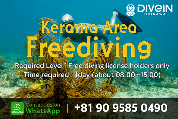 Kerama Area Freediving