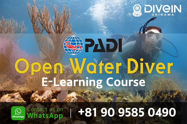 PADI Open Water Diver Course (e-Learning)