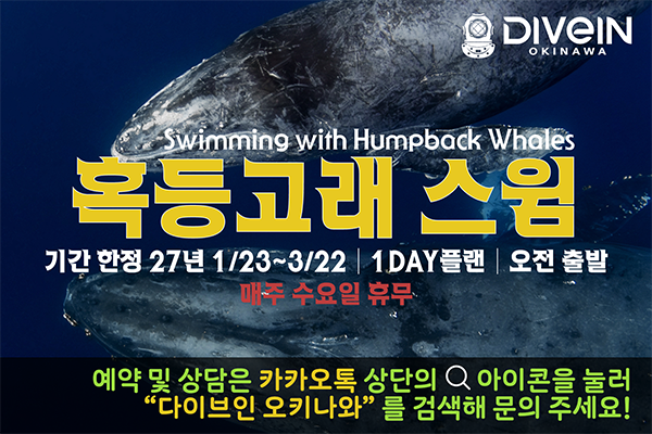 ▼모집중▼ <풀데이트립> 2027 혹등고래 스윔